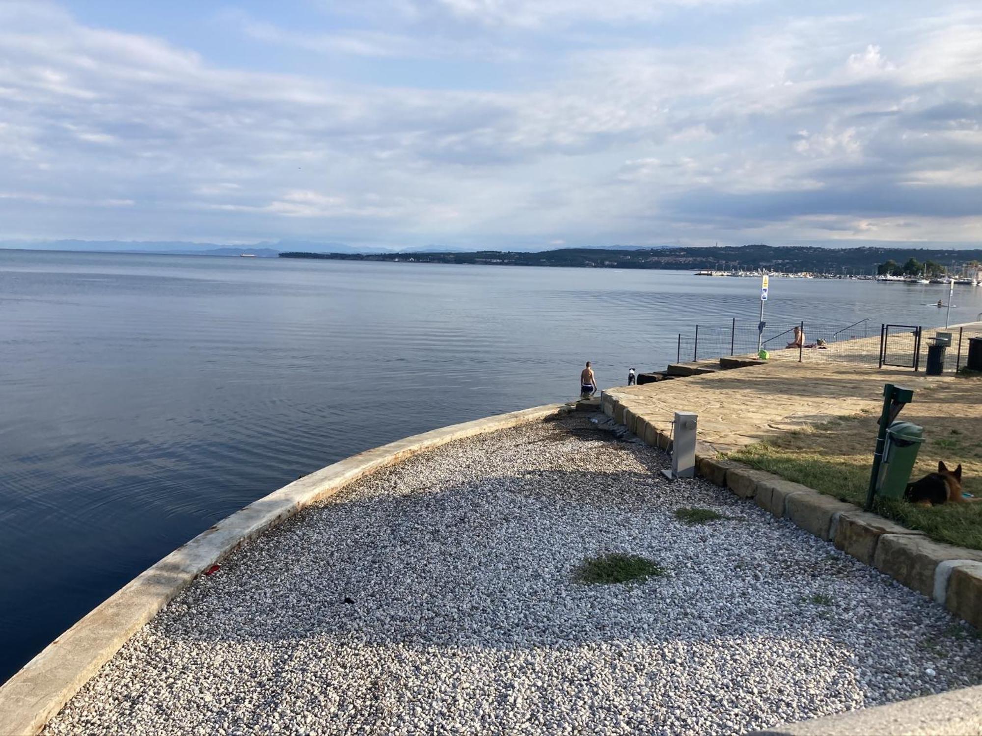 Apartments Colors Of Koper Where The Sea Is Near By Bilik gambar